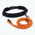 Hands-Free Dog Leash | Running Waist Belt